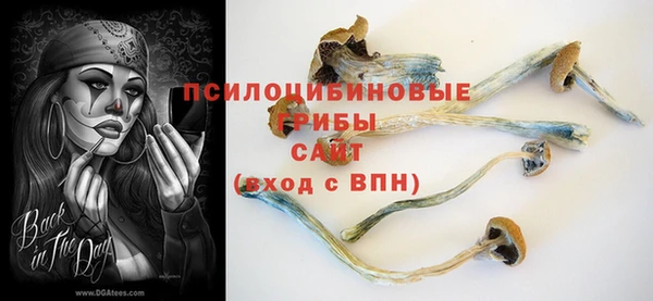 ПСИЛОЦИБИНОВЫЕ ГРИБЫ Покачи