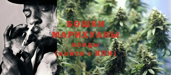 тгк Пересвет