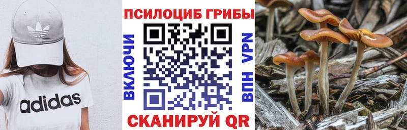 дарнет шоп  Артёмовский  Галлюциногенные грибы прущие грибы 